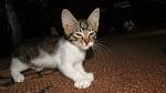     
: DSC02614.jpg
: 13
:	75.5 
ID:	8289238