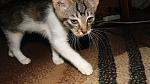    
: DSC02617.jpg
: 14
:	119.0 
ID:	8289239