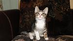     
: DSC02654.jpg
: 8
:	87.9 
ID:	8289241