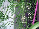     
: DSC01810.JPG
: 10
:	127.4 
ID:	8289550