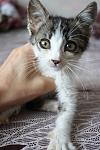     
: IMG_6541.jpg
: 9
:	87.7 
ID:	8290687