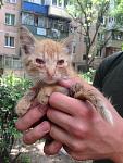     
: image.jpg
: 20
:	107.3 
ID:	8293350