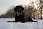     
: DSC_0324.jpg
: 63
:	114.4 
ID:	829343