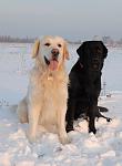     
: DSC_0361.jpg
: 69
:	58.2 
ID:	829344