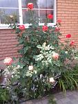     
: Фото0564.jpg
: 15
:	133.7 
ID:	8293664