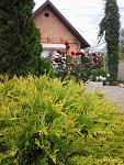     
: Фото0575.jpg
: 16
:	166.4 
ID:	8293666
