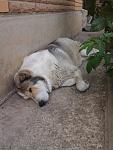     
: Фото0571.jpg
: 12
:	291.5 
ID:	8293667