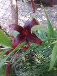     
: Фото0579.jpg
: 11
:	142.4 
ID:	8293741