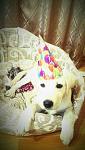     
: IMAG1514_1.jpg
: 8
:	92.0 
ID:	8294123