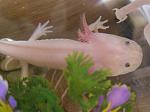    
: P5142244.JPG
: 27
:	41.6 
ID:	829434