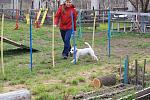     
: IMG_8216.jpg
: 8
:	226.8 
ID:	8295786