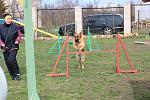     
: IMG_8330.jpg
: 7
:	210.2 
ID:	8295791