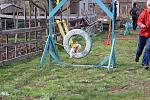    
: IMG_8337.jpg
: 8
:	231.6 
ID:	8295792