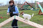     
: IMG_8191.jpg
: 6
:	142.1 
ID:	8295797