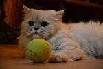     
: DSC_3824.jpg
: 21
:	66.9 
ID:	8295983