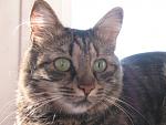     
: x_b314bd97.jpg
: 25
:	47.5 
ID:	829632