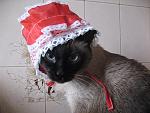     
: x_c6e589f7.jpg
: 27
:	64.3 
ID:	829633