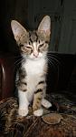     
: DSC02648.jpg
: 6
:	65.8 
ID:	8298435