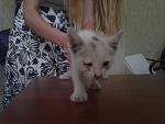     
: 5UP2lOUbyYI.jpg
: 63
:	186.7 
ID:	8299928