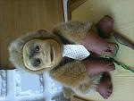     
: IMG_20140616_130438.jpg
: 10
:	120.5 
ID:	8300623