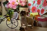     
: DSC_0735.jpg
: 17
:	100.6 
ID:	8300867