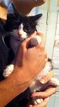     
: wCLAgWWQjoM.jpg
: 19
:	78.9 
ID:	8304480