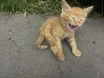     
: 20140605_135703.jpg
: 19
:	191.6 
ID:	8304513