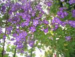     
: IMG_1362.jpg
: 5
:	253.6 
ID:	8305712