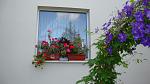     
: DSC05258.JPG
: 6
:	193.6 
ID:	8306895