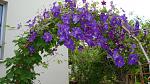     
: DSC05259.JPG
: 6
:	228.7 
ID:	8306896