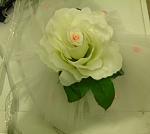     
: IMG_0007.jpg
: 42
:	68.6 
ID:	8309703