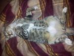     
: 20120922_225602.jpg
: 14
:	172.5 
ID:	8311912