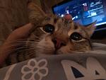     
: IMG_20140201_185057.jpg
: 11
:	92.6 
ID:	8311915