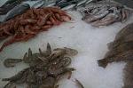     
: IMAG0427.jpg
: 5
:	217.5 
ID:	8312652