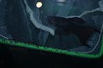    
: DSC_5583.jpg
: 9
:	94.6 
ID:	8312849