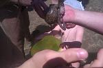     
: IMAG0467.jpg
: 9
:	180.4 
ID:	8312930