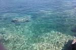     
: IMAG0492.jpg
: 10
:	244.8 
ID:	8312932