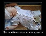     
: 7eb4e39b842013fdf6cd4079afc6110c.jpg
: 18
:	47.8 
ID:	8313918