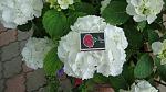     
: DSC05345.JPG
: 4
:	208.9 
ID:	8314285