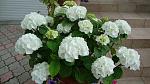     
: DSC05343.JPG
: 4
:	207.1 
ID:	8314286