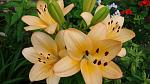     
: DSC05340.JPG
: 4
:	199.3 
ID:	8314304