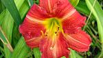    
: DSC05294.JPG
: 2
:	193.4 
ID:	8314319