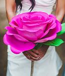     
: 0_9ef1a_333c094a_L.jpg
: 257
:	105.9 
ID:	8315057