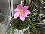     
: DSCN1220.jpg
: 5
:	128.6 
ID:	8315963