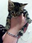     
: 6IsuBw1lLGw.jpg
: 14
:	81.1 
ID:	8316170