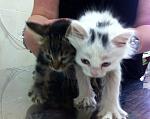     
: O3exOGgbKag.jpg
: 13
:	133.5 
ID:	8316172