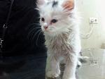    
: LQlSi4lPsko.jpg
: 17
:	96.2 
ID:	8316173
