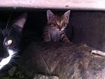     
: ry5NUhVeiWw.jpg
: 32
:	188.6 
ID:	8316248