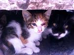     
: vxxfYB1_3gQ.jpg
: 26
:	136.2 
ID:	8316249