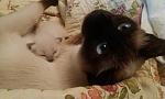     
: uploadfromtaptalk1403268694710.jpg
: 11
:	39.6 
ID:	8316948